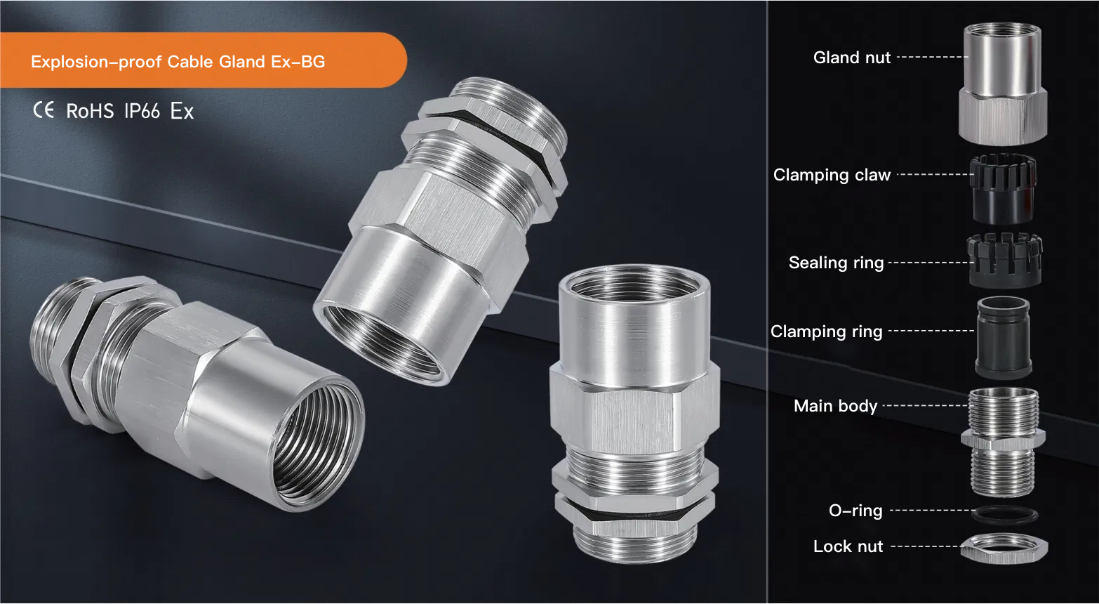 Ex-BG Explosion-Proof Clamping Gland for Hazardous Areas