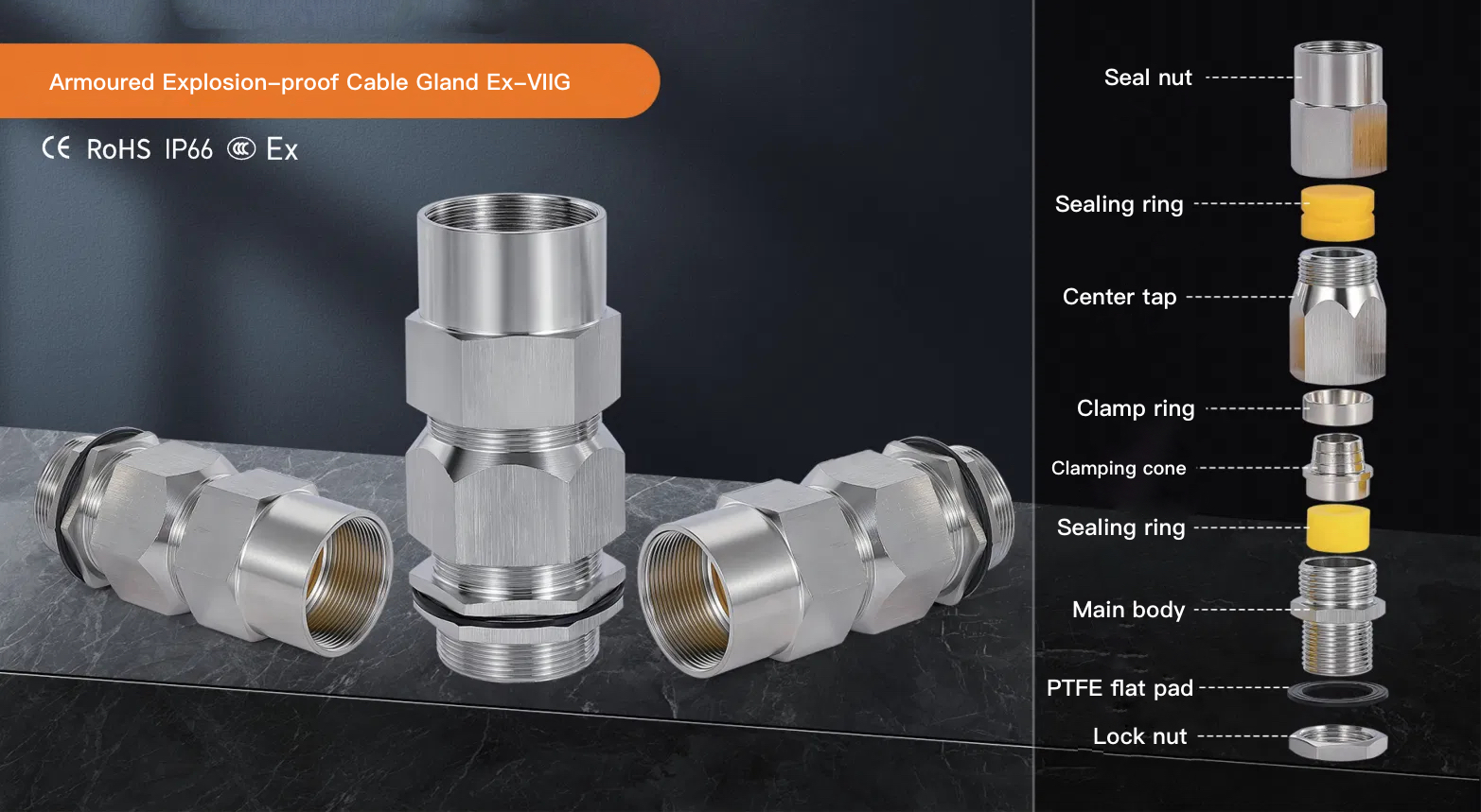 Ex-VIIG Double Seal Gland with Armour Clamping System