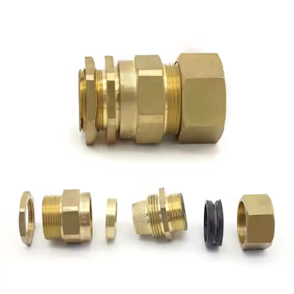 Explosion Proof CW Cable Gland for SWA, IP67IP66